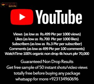 YouTube Marketing Services - views, likes, subscribers, watch time - organic work only