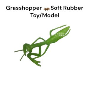 Grasshopper Soft Rubber Toy For Kids and Adults